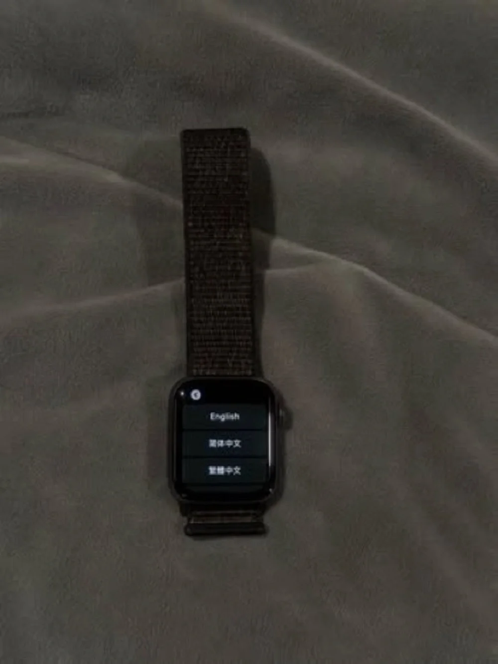 Apple Black Smartwatch with Black Nylon Loop